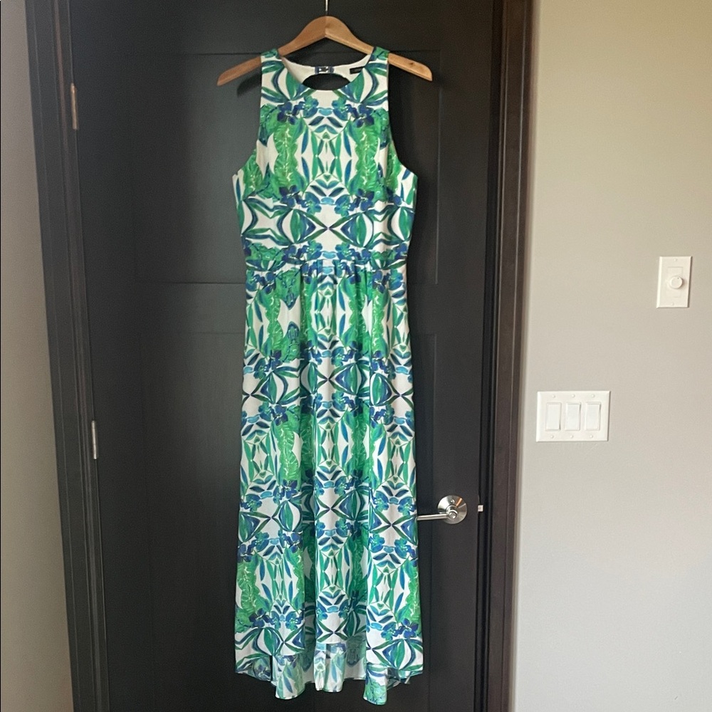Cynthia Steffe Floral Maxi Dress Size 12 - Picture 9 of 10